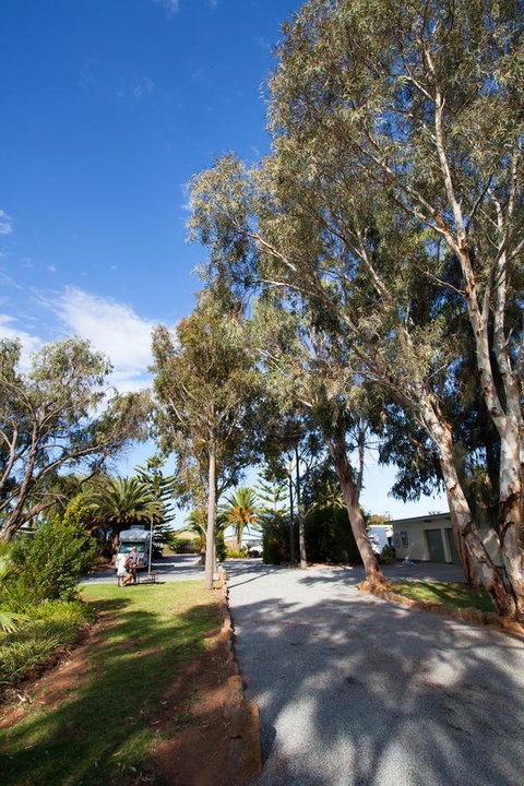 Modra\'s Apartments - Sydneys Hotel 7