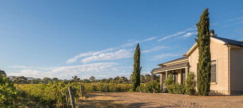 Barossa Shiraz Estate - Sydneys Hotel 13