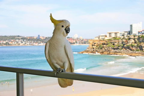 Beachfront Bliss - Sydneys Hotel 23