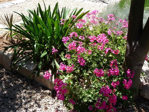 Country Bakehouse Accommodation - Sydneys Hotel 18