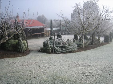 Vineyard Cottage BnB - Sydneys Hotel 15