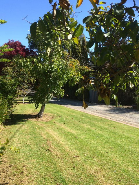 Vineyard Cottage BnB - Sydneys Hotel 17