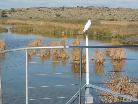 PS Federal Retreat Paddle Steamer Goolwa - Sydneys Hotel 11