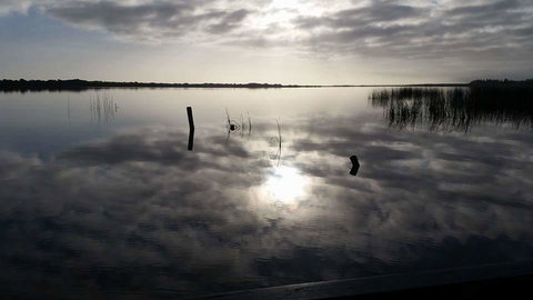 PS Federal Retreat Paddle Steamer Goolwa - Sydneys Hotel 16