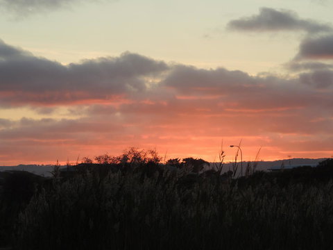 PS Federal Retreat Paddle Steamer Goolwa - Sydneys Hotel 13