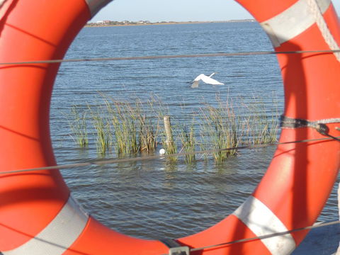 PS Federal Retreat Paddle Steamer Goolwa - Sydneys Hotel 18