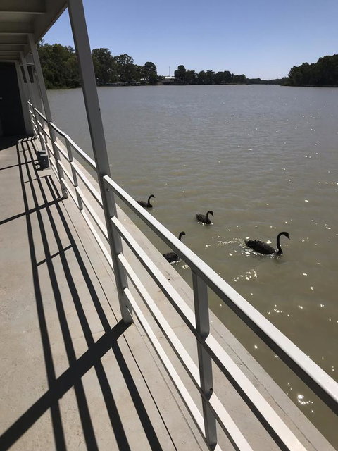 Murray River Queen - Sydneys Hotel 7