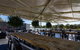 Murray River Queen - thumb 30