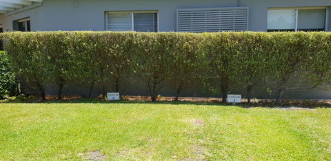 2 Austinmer Studio - Sydneys Hotel 12