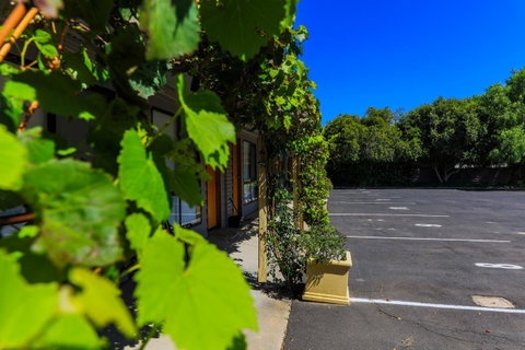 Country Roads Motor Inn Naracoorte - Sydneys Hotel 16