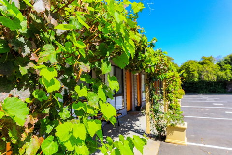 Country Roads Motor Inn Naracoorte - Sydneys Hotel 18
