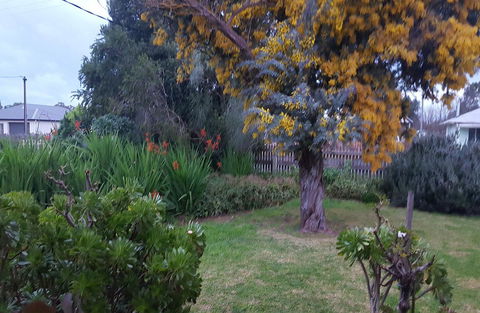 Ruby\'s Cottage - Sydneys Hotel 19