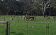 Breakaway Farmstay - thumb 6