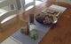 Breakaway Farmstay - thumb 2