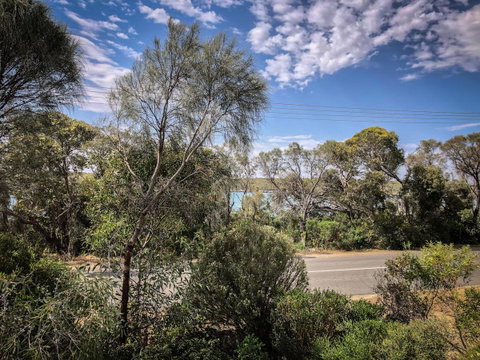 SeaLaVie - Sydneys Hotel 40
