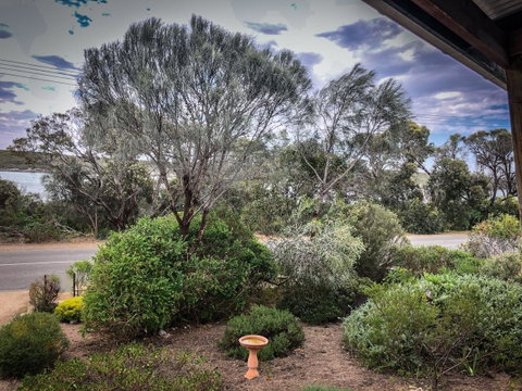 SeaLaVie - Sydneys Hotel 42