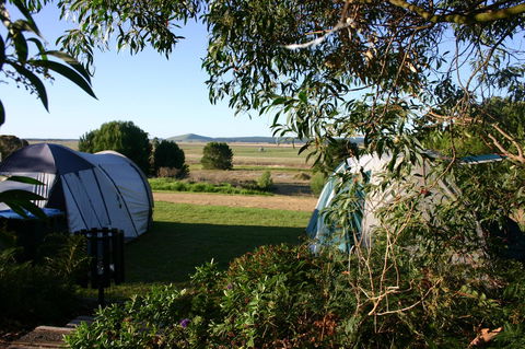 Millicent Hillview Caravan Park - Sydneys Hotel 43