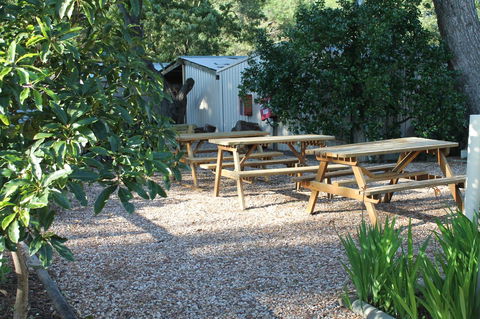 Millicent Hillview Caravan Park - Sydneys Hotel 9