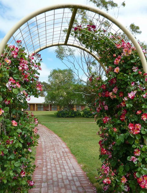 Coonawarra Place Motor Inn - Sydneys Hotel 20