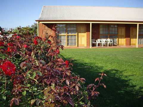 Coonawarra Place Motor Inn - Sydneys Hotel 5