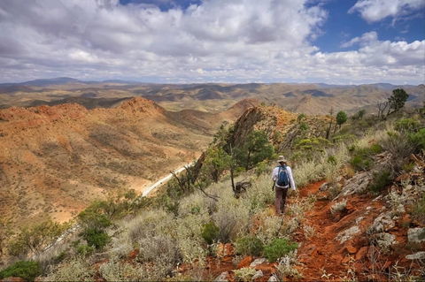 Arkaroola Wilderness Sanctuary - Sydneys Hotel 4