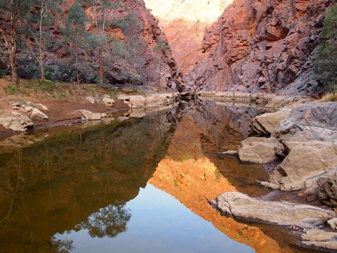 Arkaroola Wilderness Sanctuary - Sydneys Hotel 6