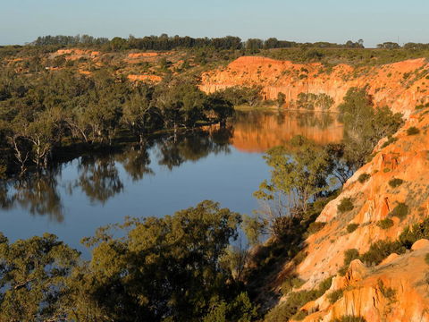 Echo Holiday Parks - Renmark - Sydneys Hotel 11
