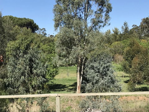 Adagio In Auburn - Sydneys Hotel 25