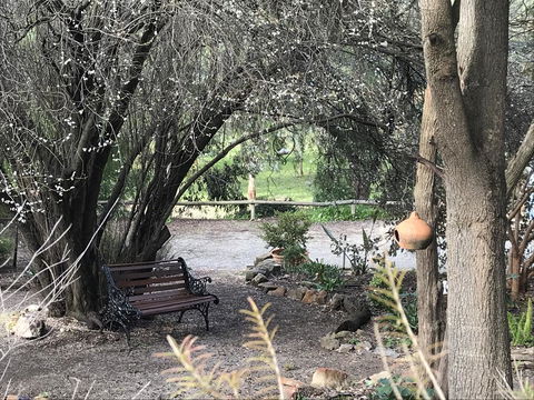 Adagio In Auburn - Sydneys Hotel 17