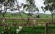 Jasmine\'s Barossa Valley Cottage - thumb 20