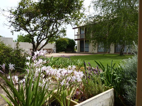 Coonawarra Motor Lodge - Sydneys Hotel 0