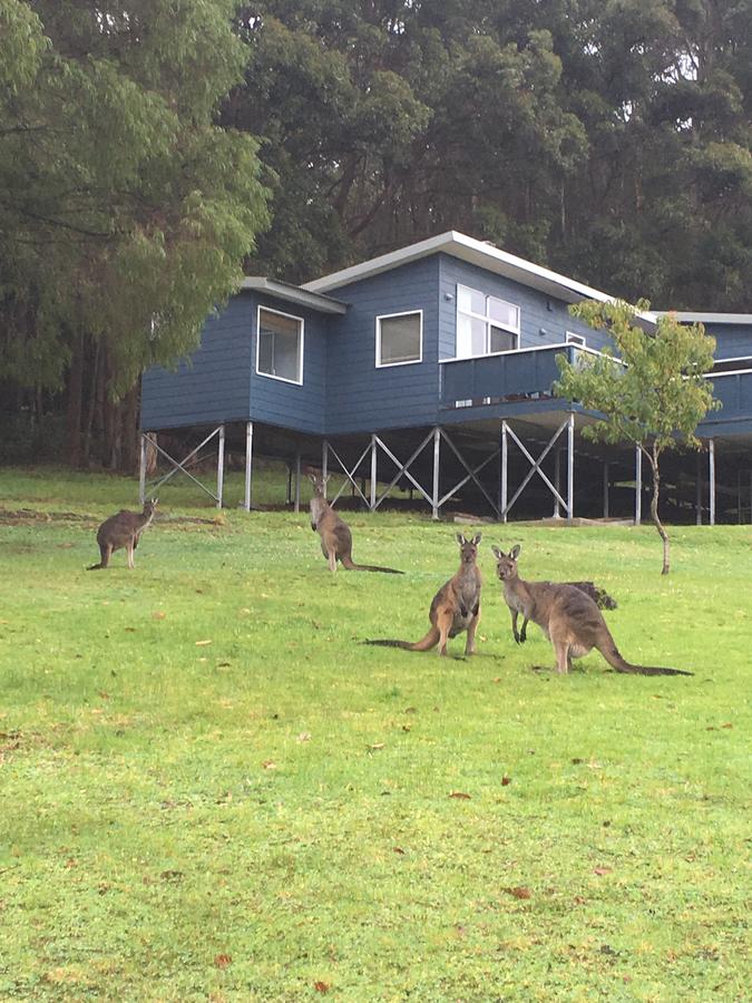 Denmark WA Sydneys Hotel