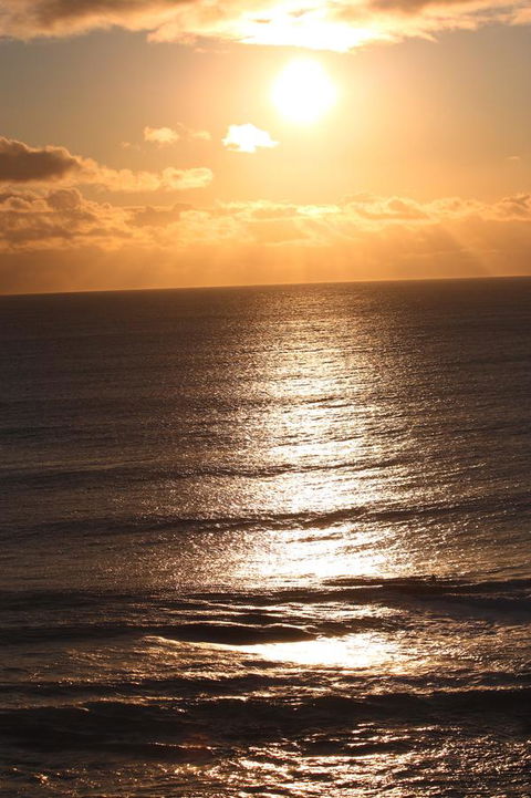 Riverview Tourist Park - Sydneys Hotel 32