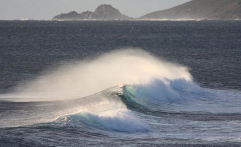 Riverview Tourist Park - Sydneys Hotel 33