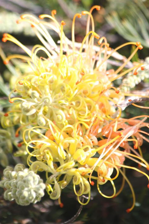 Riverview Tourist Park - Sydneys Hotel 37