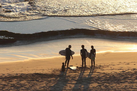 Riverview Tourist Park - Sydneys Hotel 31