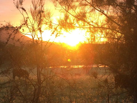 Grapevines Boutique Accommodation - Sydneys Hotel 27