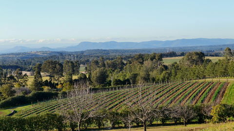 Grapevines Boutique Accommodation - Sydneys Hotel 21