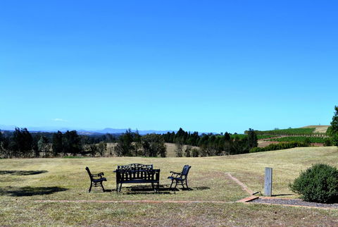 Grapevines Boutique Accommodation - Sydneys Hotel 18