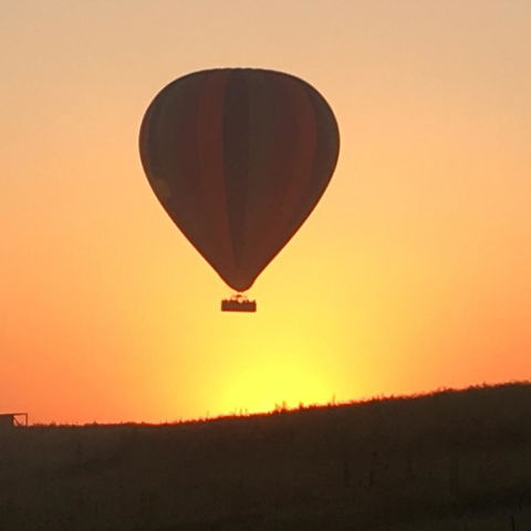 Grapevines Boutique Accommodation - Sydneys Hotel 13