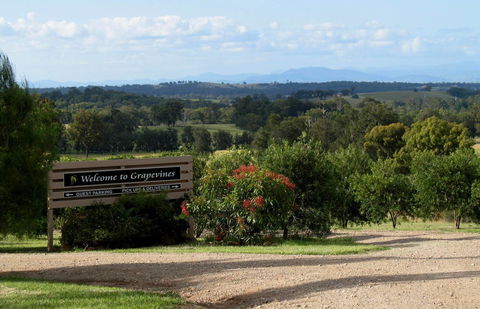 Grapevines Boutique Accommodation - Sydneys Hotel 15