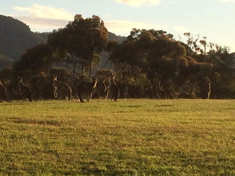 Grapevines Boutique Accommodation - Sydneys Hotel 26