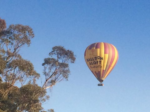 Grapevines Boutique Accommodation - Sydneys Hotel 12