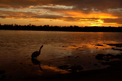 Dungowan Holiday Accommodation - Sydneys Hotel 31
