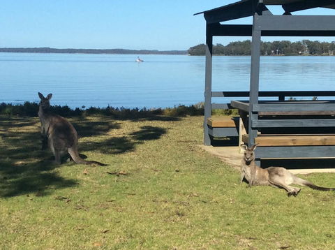 Dungowan Holiday Accommodation - Sydneys Hotel 33