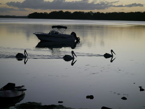 Dungowan Holiday Accommodation - Sydneys Hotel 41