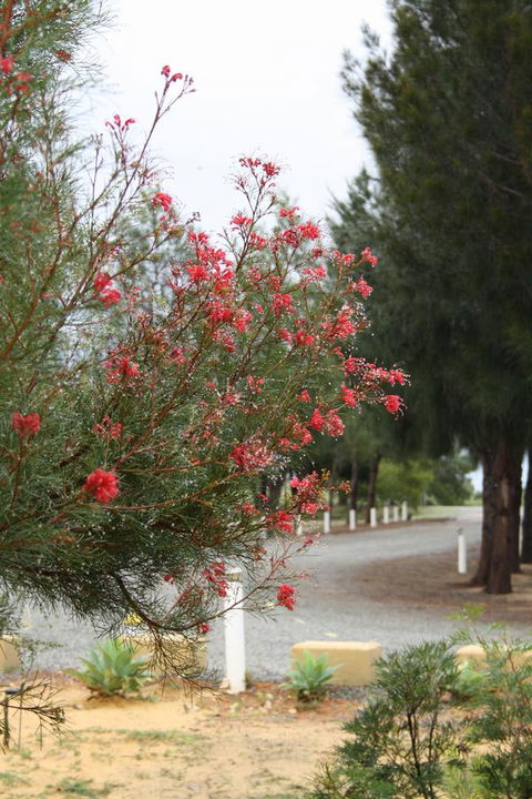 The Heights Bed & Breakfast - Sydneys Hotel 0