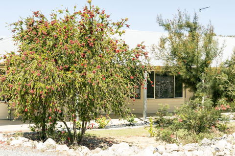 The Heights Bed & Breakfast - Sydneys Hotel 15