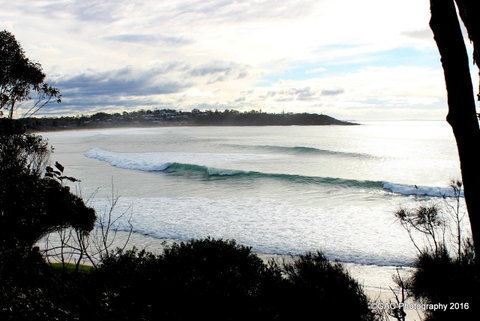 Mollymook Cove Apartments - Sydneys Hotel 2