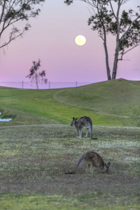 Oaks Cypress Lakes Resort - Sydneys Hotel 28
